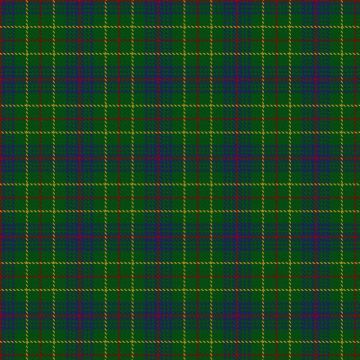 Ayrton of Laoch Tartan kilt