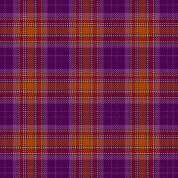 Bade, J & Zaman, J - Wedding (Personal) Tartan kilt