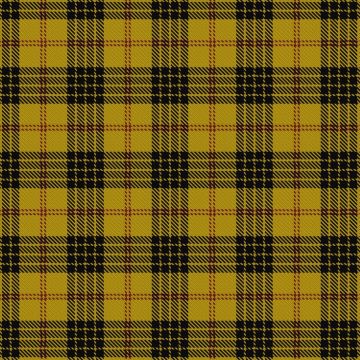 Baileville (Personal) Tartan kilt