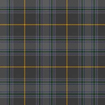 Baird-Naysmith, Lynda & Family (Personal) Tartan kilt