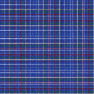 Bannov, Vladimir (Personal) Tartan kilt