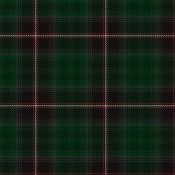 Barkway Wedding 2012 Tartan kilt