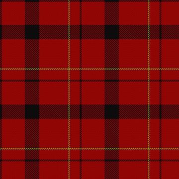 Barkwell (Personal) Tartan kilt