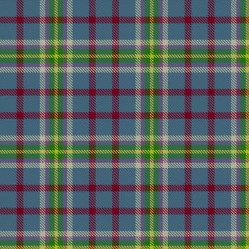 Barneys (Scunthorpe) Tartan kilt