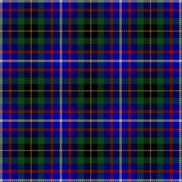 Barr, Brian & Laila and Family (Personal) Tartan kilt