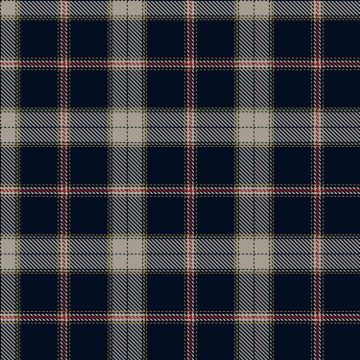 Bartlett from El Paso, Texas Tartan kilt