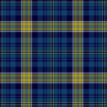 Bath Caledonian Society Tartan kilt