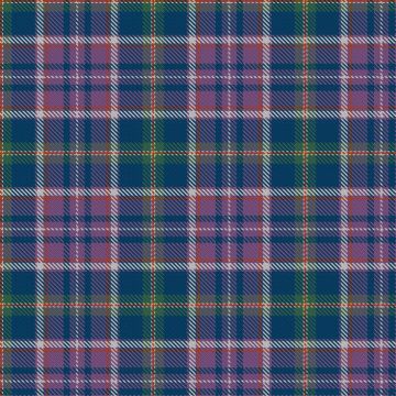 Beaman, M & Family (Personal) Tartan kilt