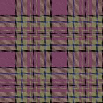 Beamish Museum Fifty Five Tartan kilt