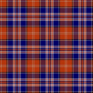 Bear Baars (Personal) Tartan kilt