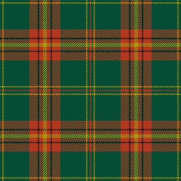 Beard Ancient Tartan Kilt