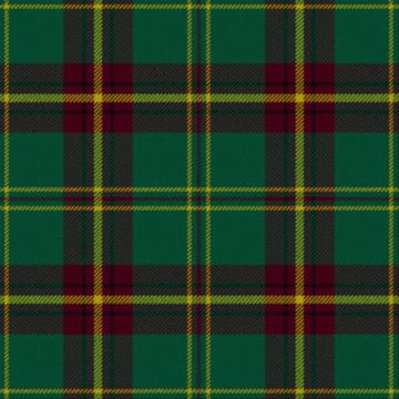 Beard Modern Tartan Kilt