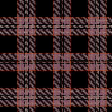 Beautifully Romanticised Accidentally Traumatized Glory Tartan kilt