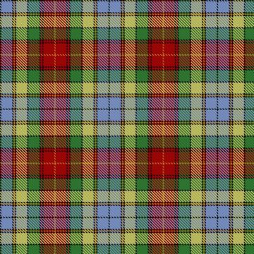 BeeJay Tartan kilt