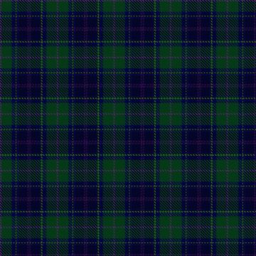 Begg (Scarfskerry) Tartan kilt