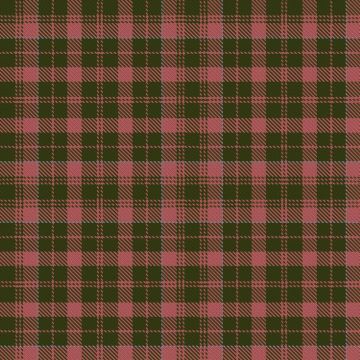 Bell, Alexandra and Family (Personal) Tartan kilt