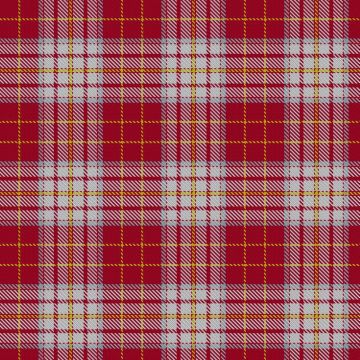 Bell, Andrew Ronald and Family Dress (Personal) Tartan kilt