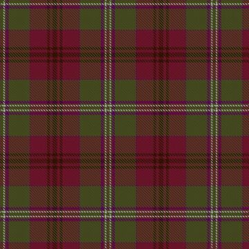 Bell of Ardbel (Personal) Tartan kilt