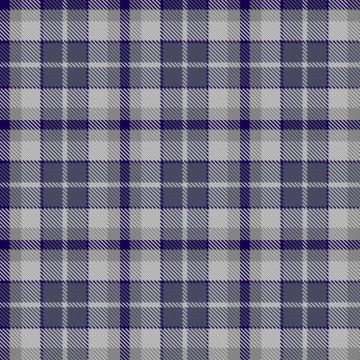 Bertha Park High School Junior Tartan kilt