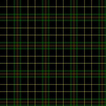 Bertsch, Layton J (Personal) Tartan kilt