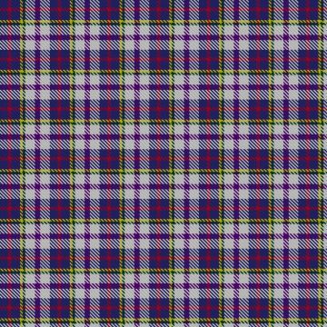 Bethesda Presbyterian Church Camden Bicentennial Tartan kilt