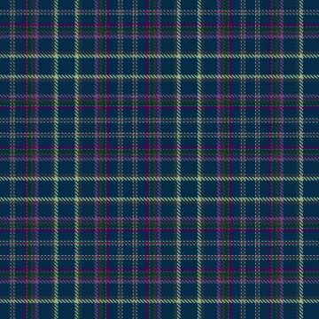 Bicknell, James and Family (Personal) Tartan kilt