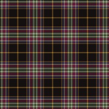 Bird Family (Wales) (Personal) Tartan kilt