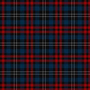 Blaauw, Brian & Family (Personal) Tartan kilt