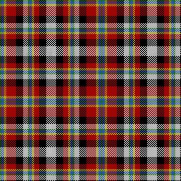 Blake, Steven (Personal) Tartan kilt