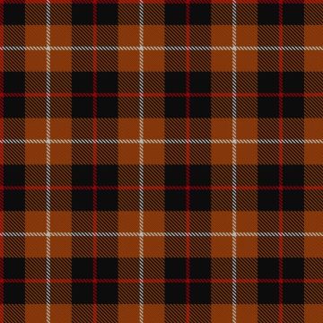 Bonhill Primary School Tartan kilt