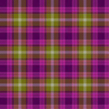 Borderlands Tart kilt