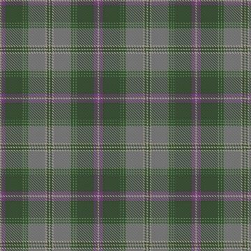 Bracken (Historic Scotland) Tartan kilt