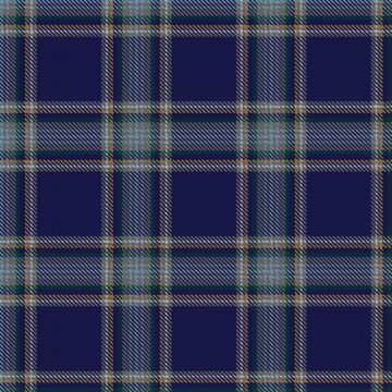 Brady, Caitlin – Grayheck, Jim Wedding (Personal) Tartan kilt
