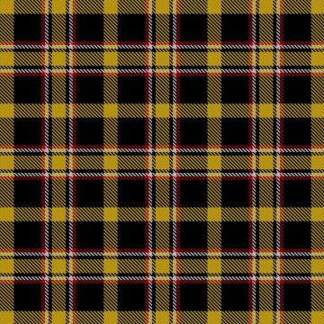 Brady, George and Family (Personal) Tartan kilt