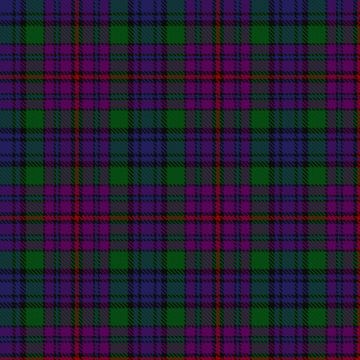 Braid (Estimated threadcount) Tartan kilt