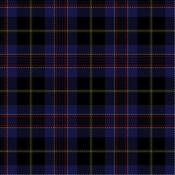 Braidwood, Stuart & Family (Personal) Tartan kilt