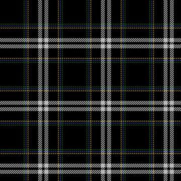 Bray, David & Family, Cornwall (Personal) Tartan kilt
