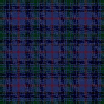 Brethwe Powys Tartan kilt