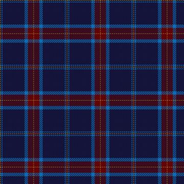 Brewshido Standard Tartan kilt