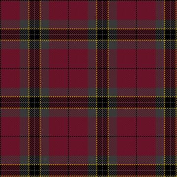 Briese, W (Personal) Tartan kilt