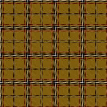 Bro Dreger Tartan kilt