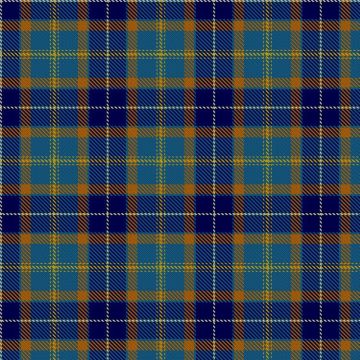 Brothers and Sisters of Paramedicine Tartan kilt