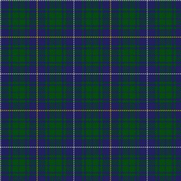 Bruce (Personal) Tartan kilt