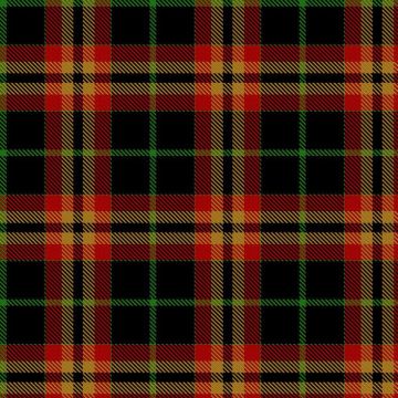 Bruhn, F & Family (Personal) Tartan kilt