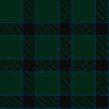 Bruining, R J & Family (Personal) Tartan kilt