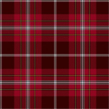 Bryson, D (Personal) Tartan kilt