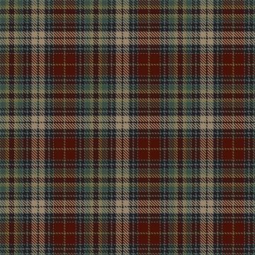Buimerc, S & Family (Personal) Tartan kilt