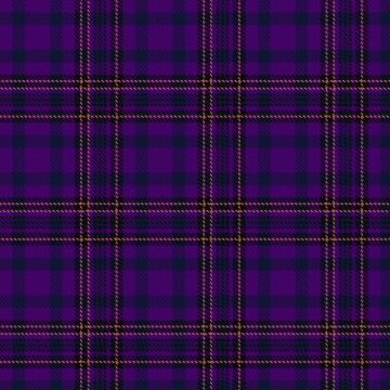 Burns, Virginia (Personal) Tartan kilt