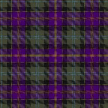 Caisteal Leòdhais Tartan kilt
