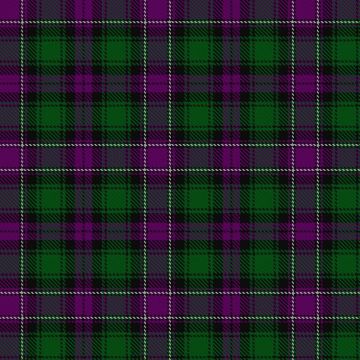 Caithelyn (Personal) Tartan kilt